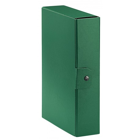 Cartella Portaprogetti Verde Dorso 8 cm Chiusura a Bottone confezione 5 pezzi Esselte C2818